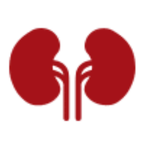 Nephrology